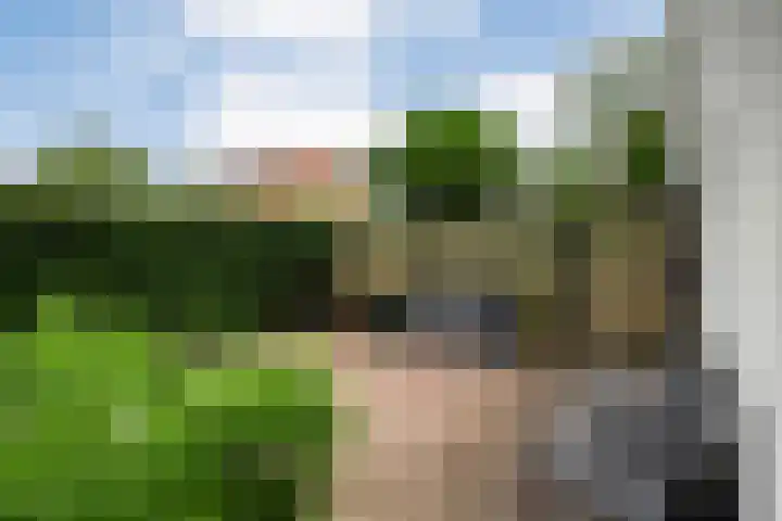 Mr. Zacharias Tijllaan 6 Dedemsvaart thumbnail 61