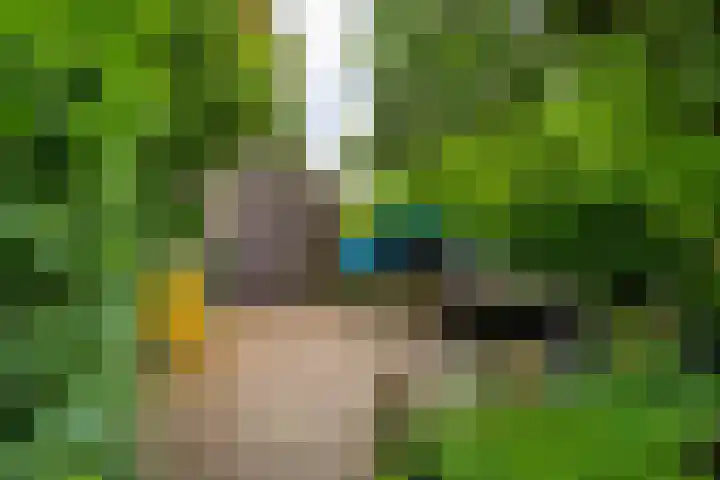 Mr. Zacharias Tijllaan 6 Dedemsvaart thumbnail 62