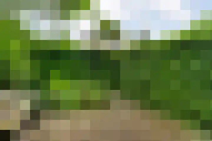 Mr. Zacharias Tijllaan 6 Dedemsvaart thumbnail 63
