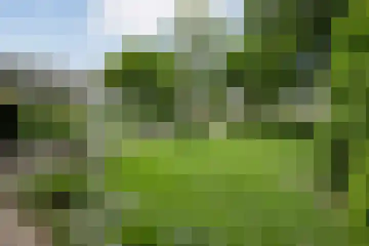 Mr. Zacharias Tijllaan 6 Dedemsvaart thumbnail 64