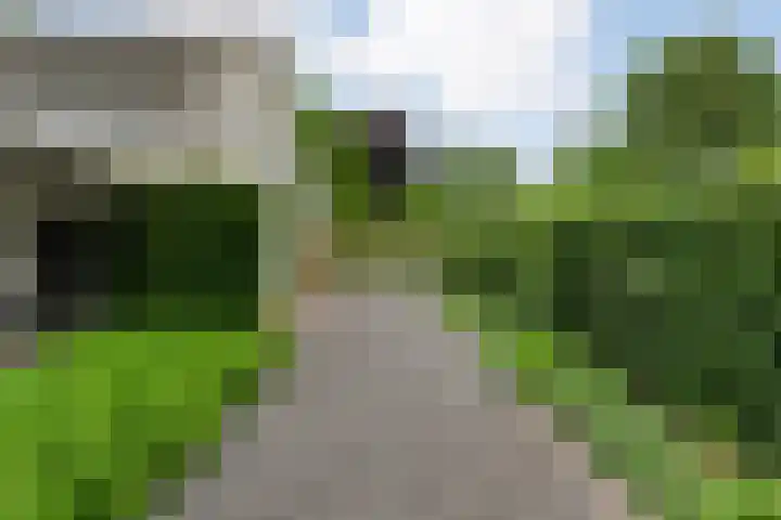 Mr. Zacharias Tijllaan 6 Dedemsvaart thumbnail 65