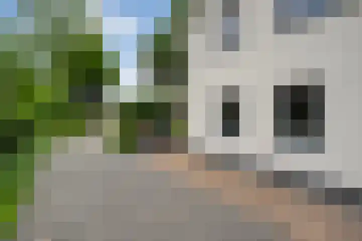 Mr. Zacharias Tijllaan 6 Dedemsvaart thumbnail 66