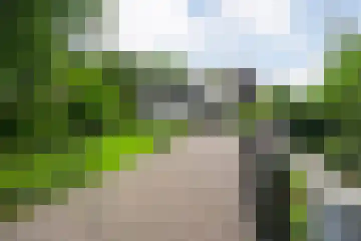 Mr. Zacharias Tijllaan 6 Dedemsvaart thumbnail 7