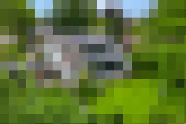 Mr. Zacharias Tijllaan 6 Dedemsvaart thumbnail 8