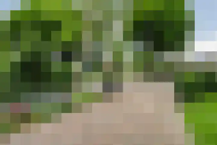 Mr. Zacharias Tijllaan 6 Dedemsvaart thumbnail 9