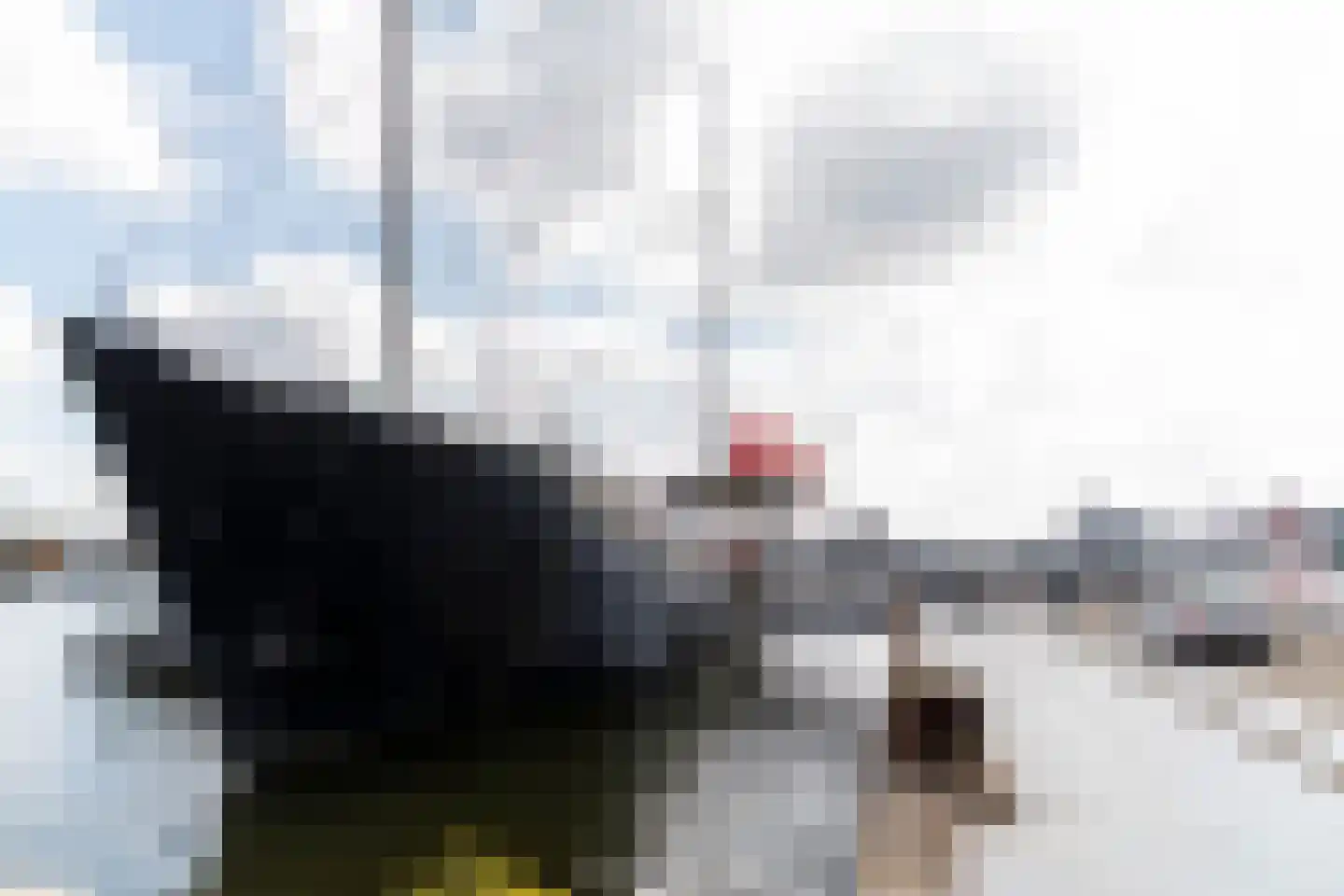 ms. Oslofjordweg 4 E 1 Amsterdam thumbnail 16