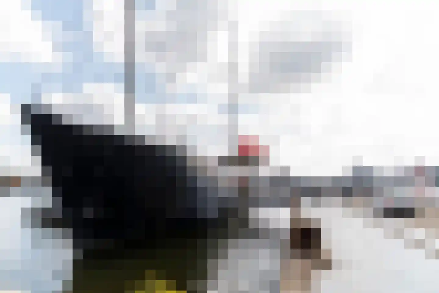 ms. Oslofjordweg 4 F 3 Amsterdam thumbnail 16