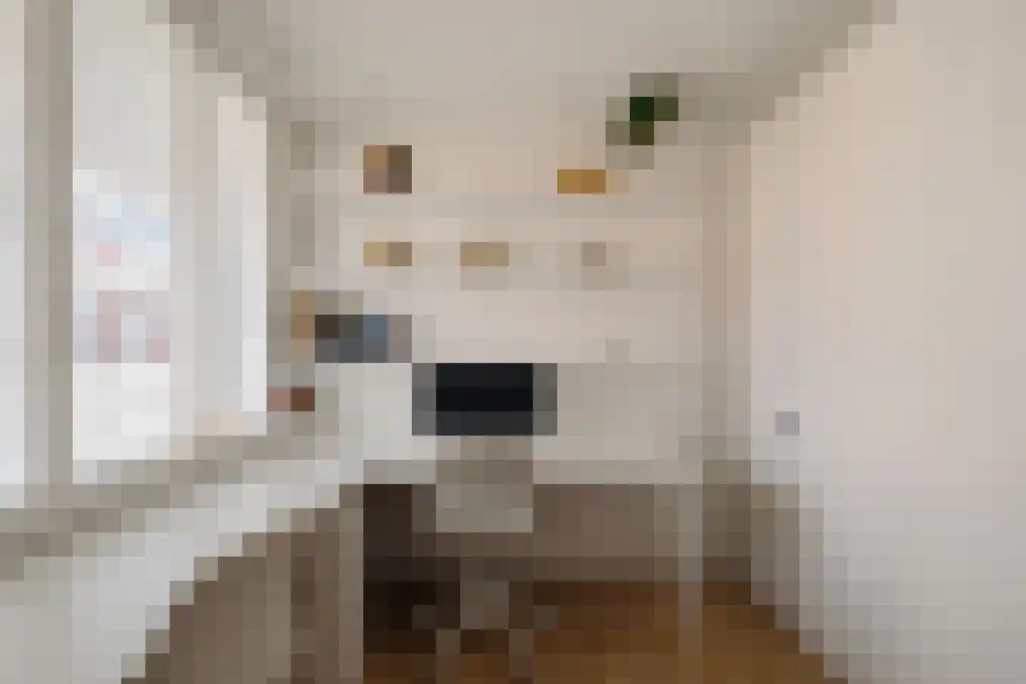 mt. Lincolnweg 120 Amsterdam thumbnail 22
