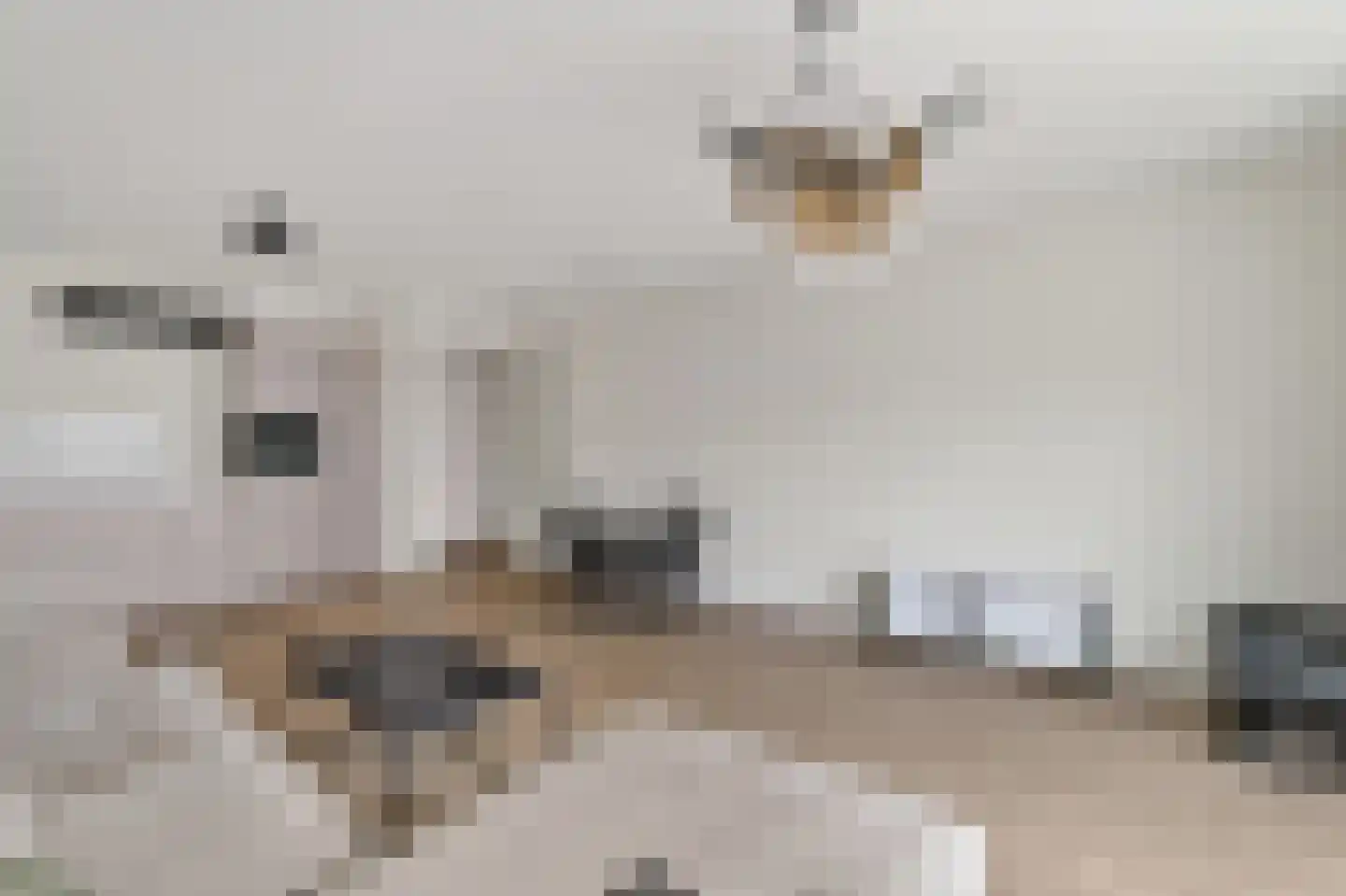 mt. Lincolnweg 124 Amsterdam thumbnail 6