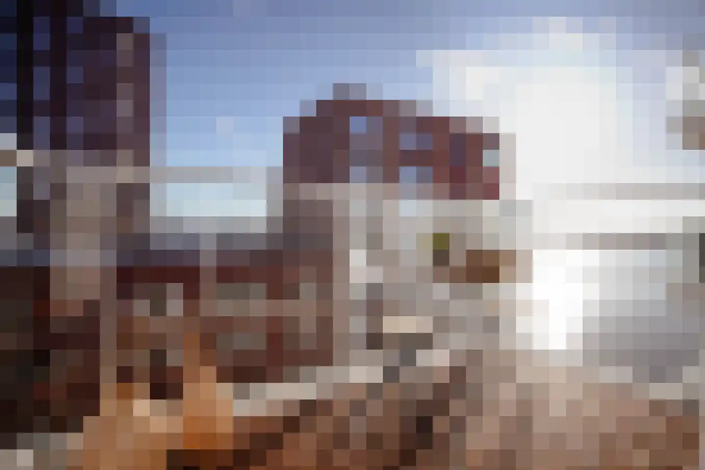 mt. Lincolnweg 144 Amsterdam thumbnail 32