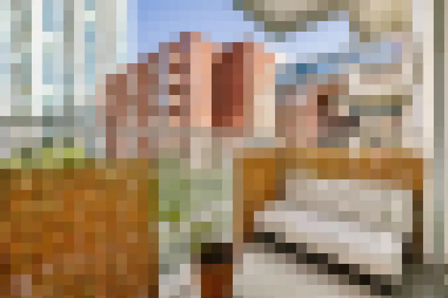 mt. Lincolnweg 86 Amsterdam thumbnail 5