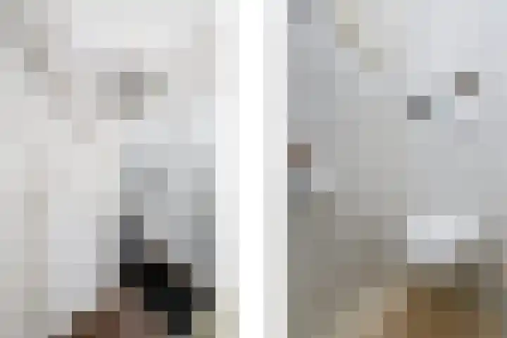 Mannschaftsfoto von MTB Makelaardij