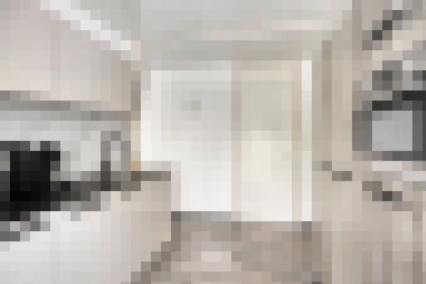 Mucherveldstraat 4 Kerkrade thumbnail 13