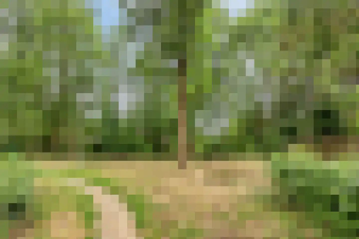 Mucherveldstraat 4 Kerkrade thumbnail 38