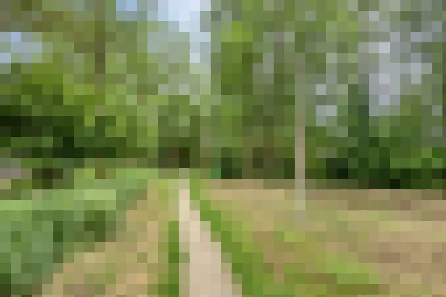 Mucherveldstraat 4 Kerkrade thumbnail 39