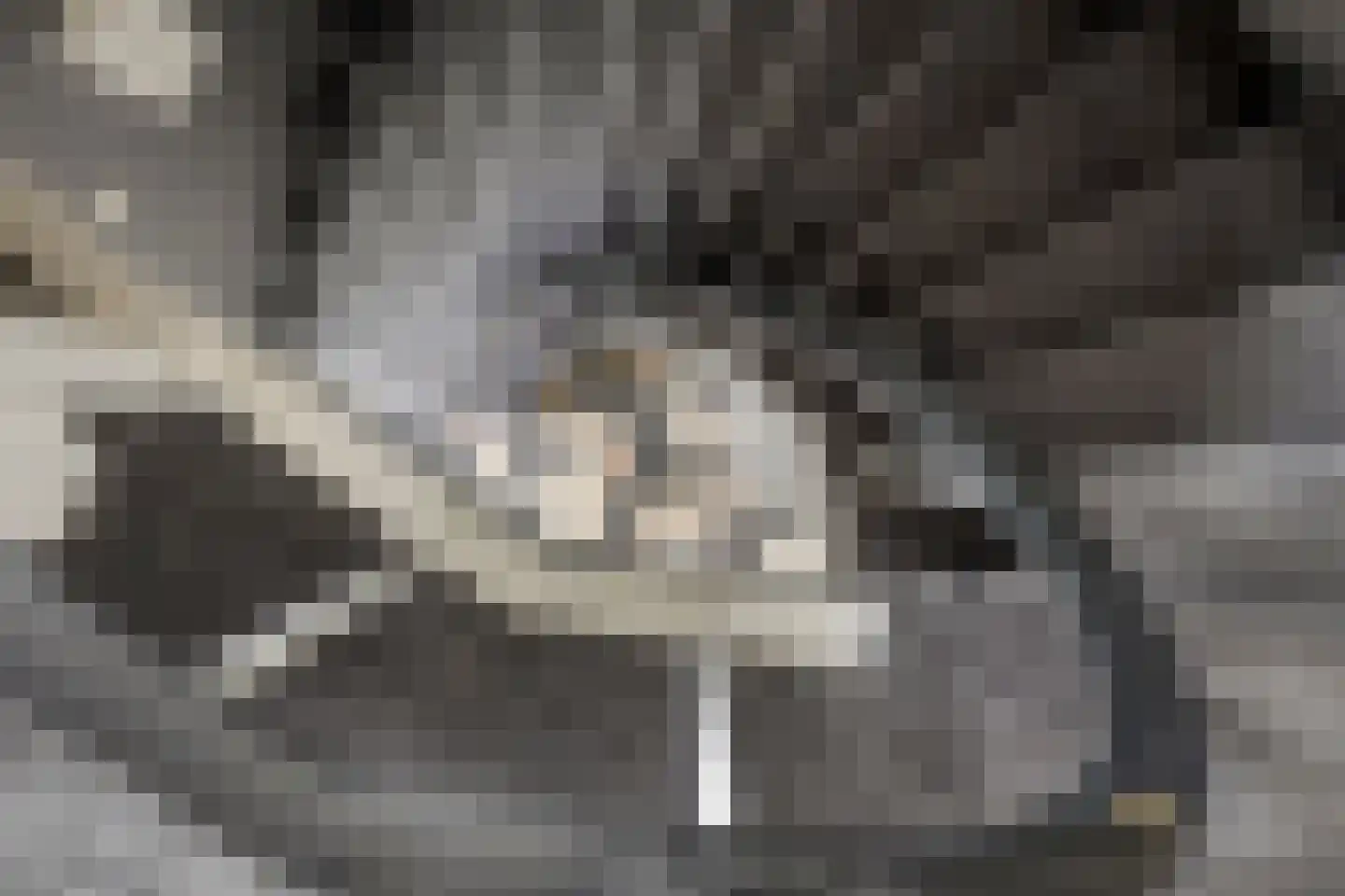 Muchteweg 10 Losser thumbnail 31
