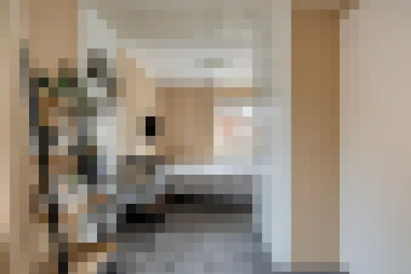 Muchteweg 10 Losser thumbnail 37