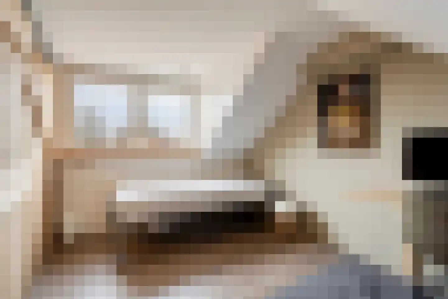 Muchteweg 10 Losser thumbnail 44