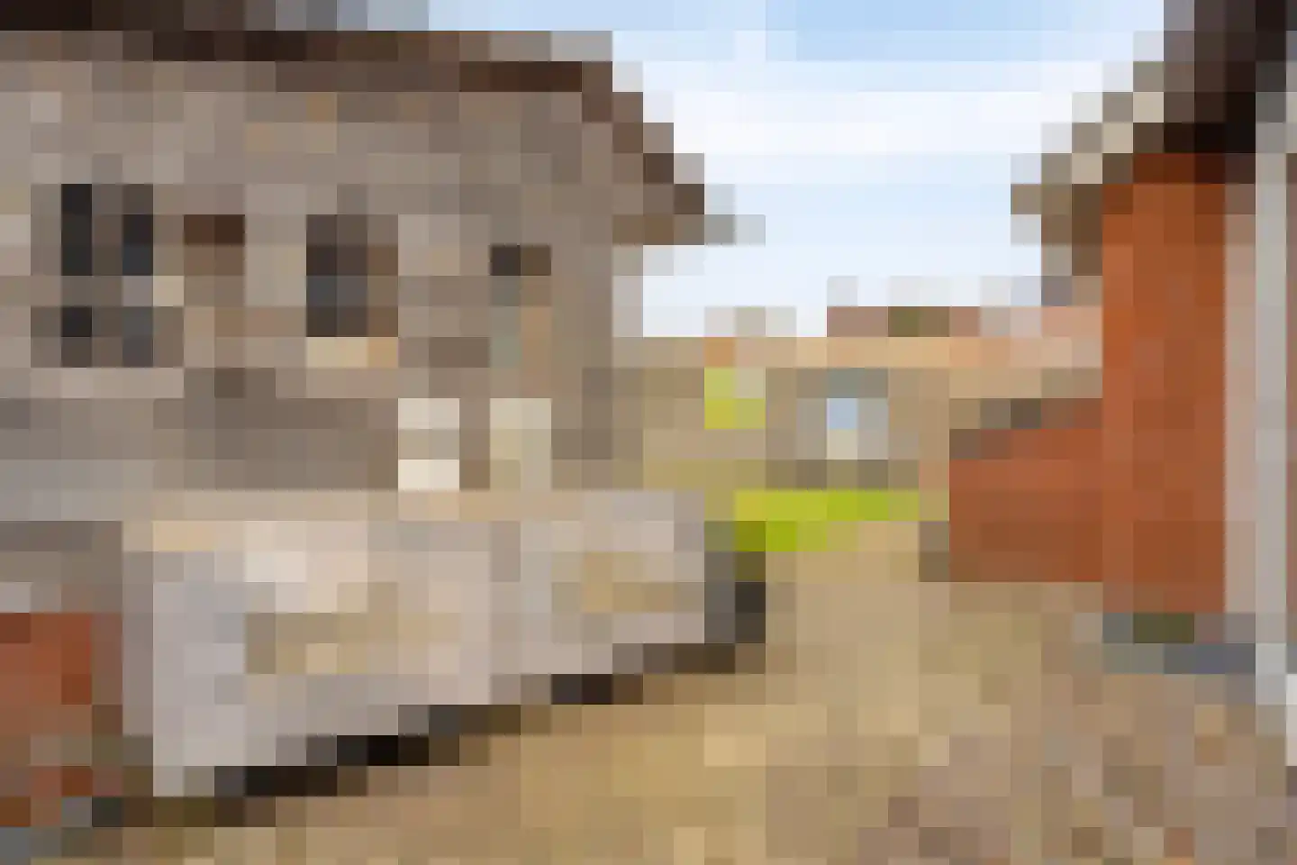 Muchteweg 10 Losser thumbnail 48
