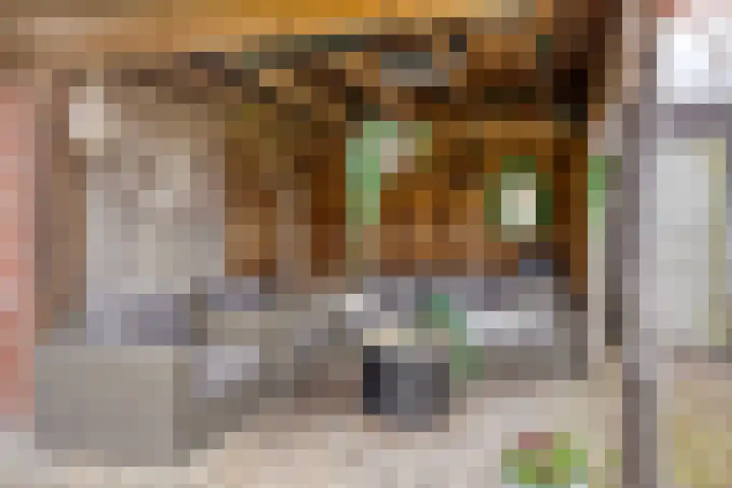 Muchteweg 10 Losser thumbnail 49