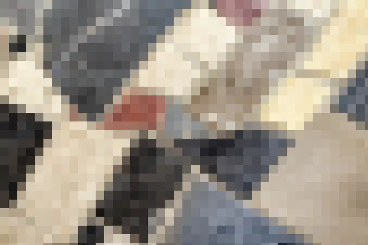 Muchteweg 10 Losser thumbnail 8