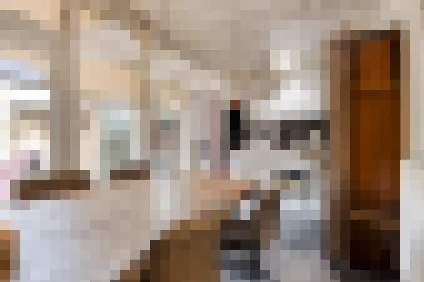 Muchteweg 4 Losser thumbnail 13