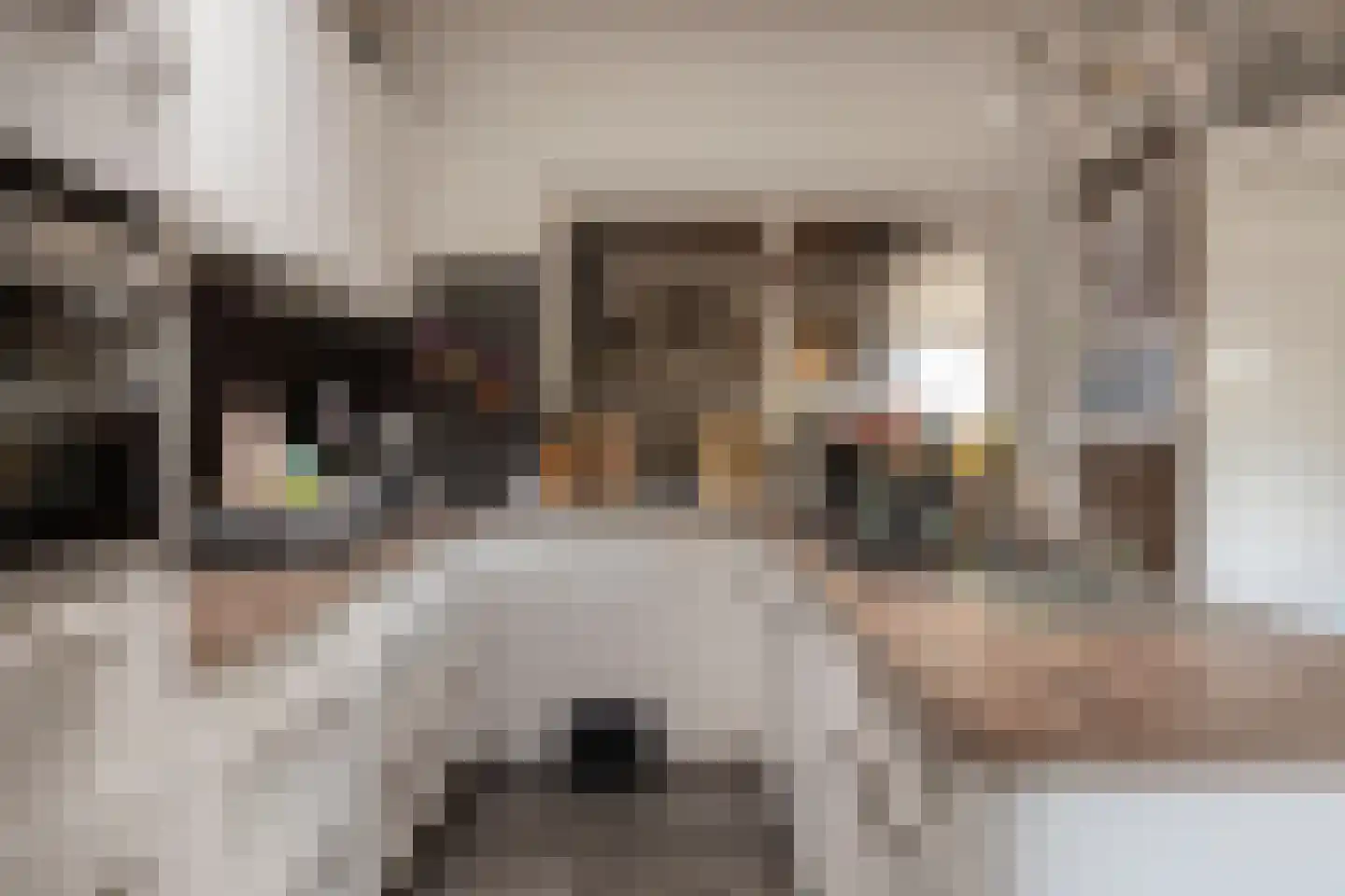 Muchteweg 4 Losser thumbnail 15
