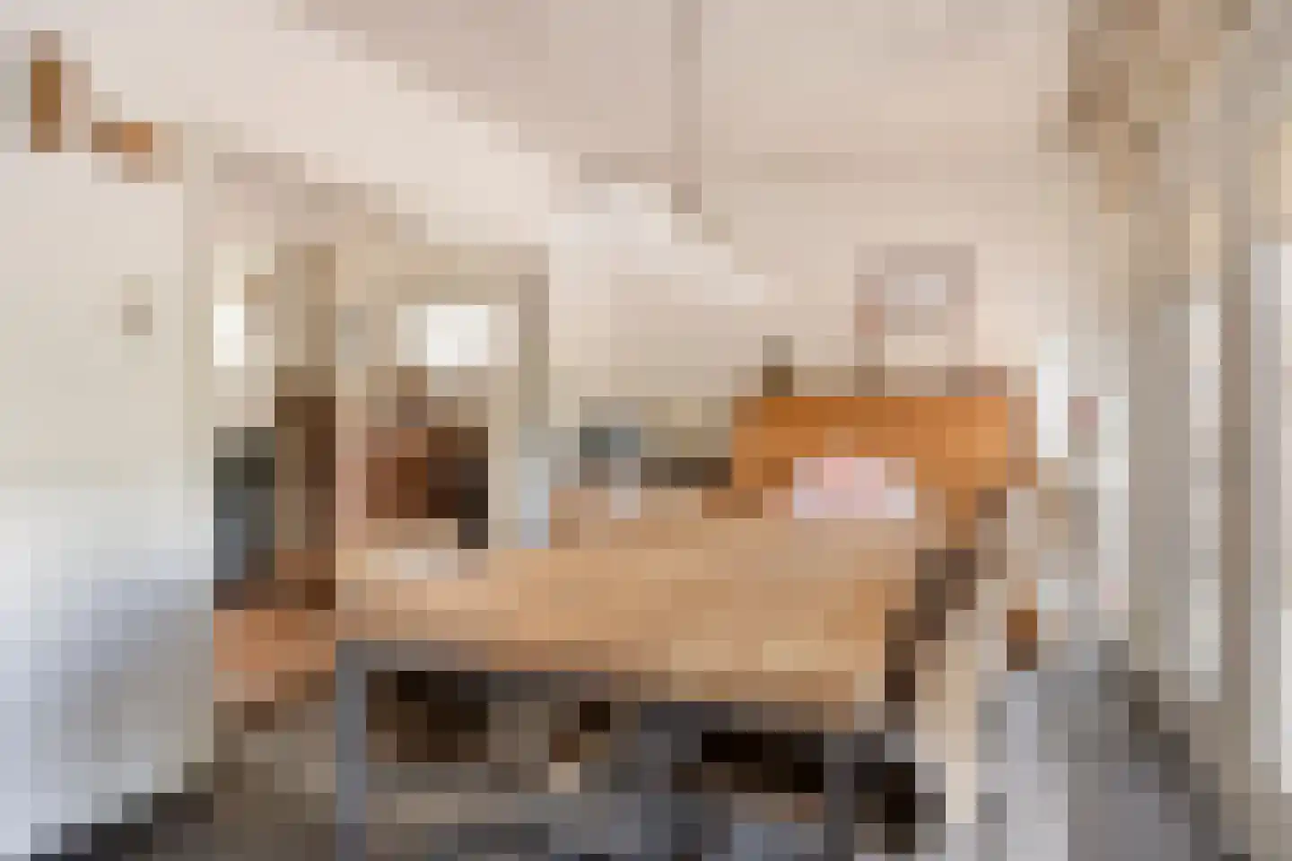 Muchteweg 4 Losser thumbnail 16