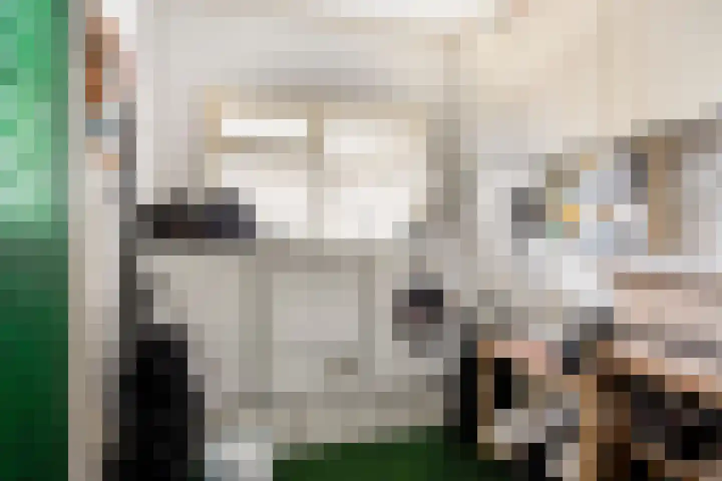 Muchteweg 4 Losser thumbnail 17