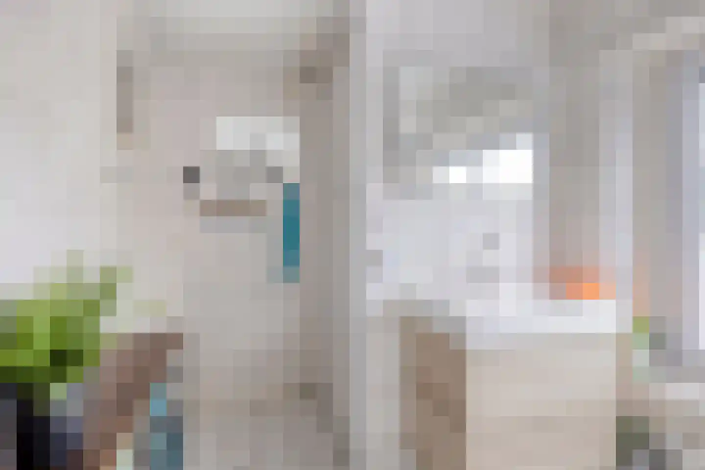 Muchteweg 4 Losser thumbnail 22
