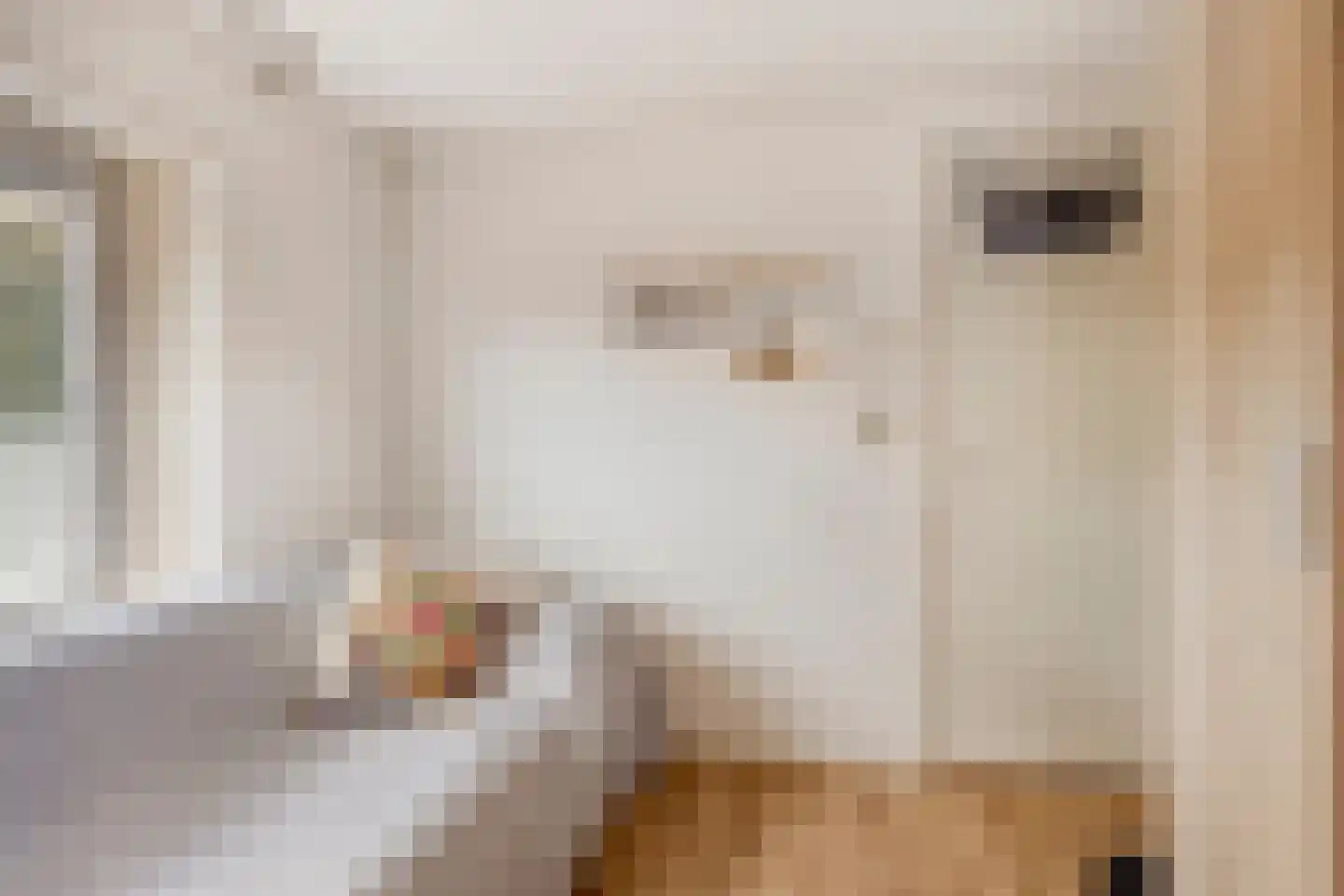 Muchteweg 4 Losser thumbnail 24