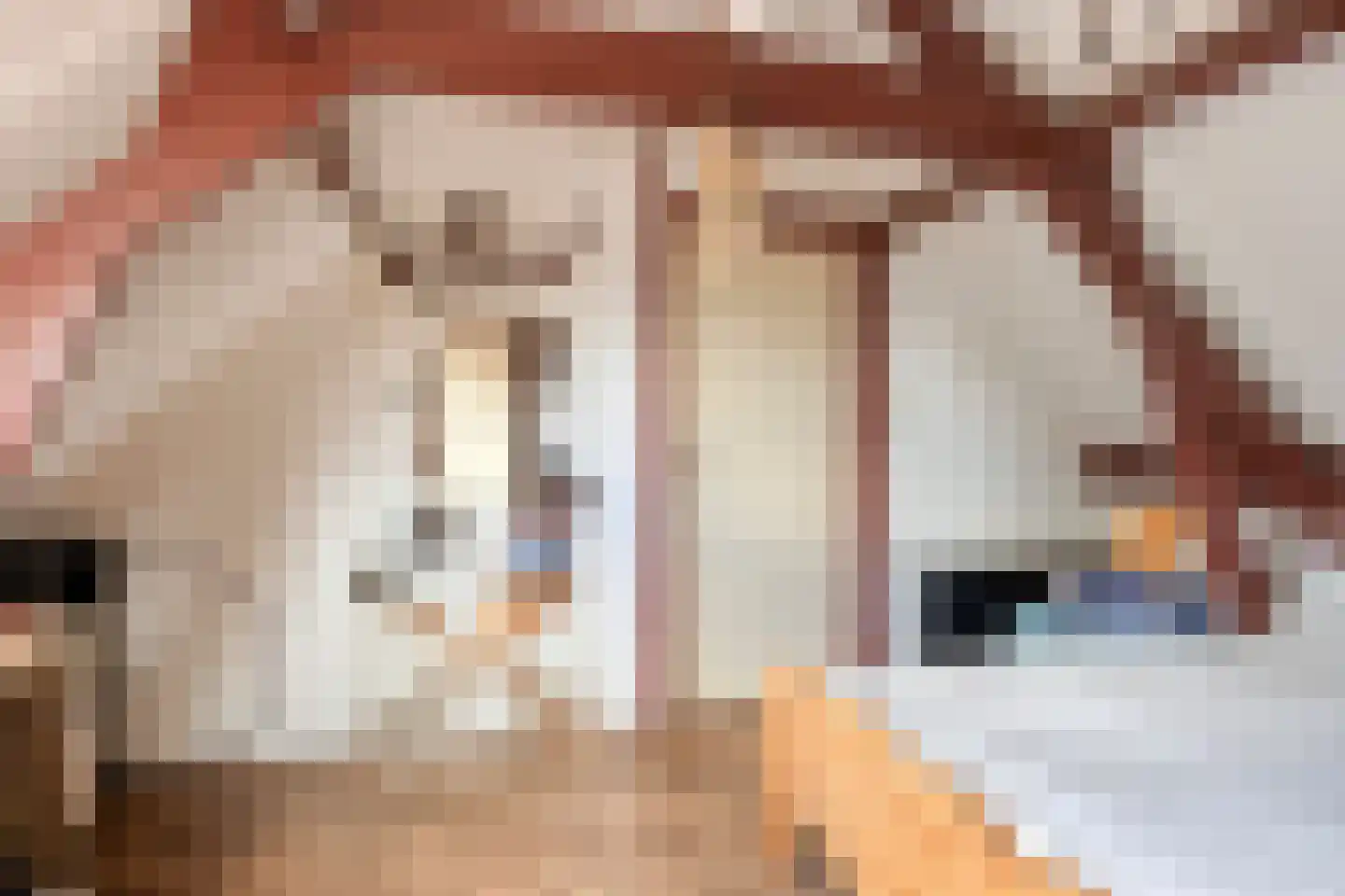 Muchteweg 4 Losser thumbnail 27