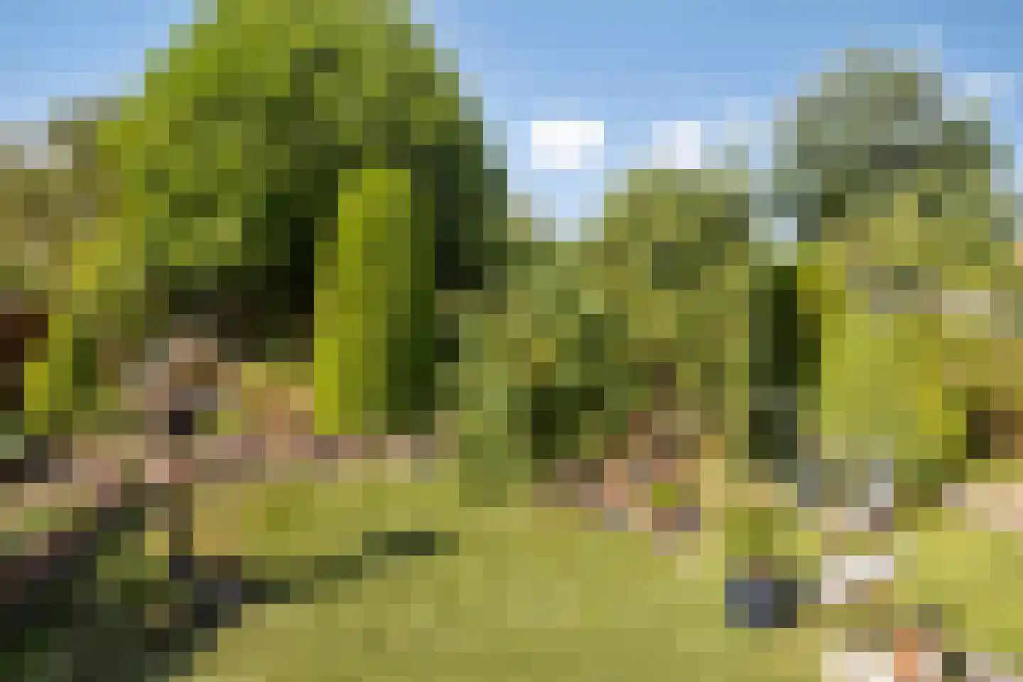 Muchteweg 4 Losser thumbnail 29