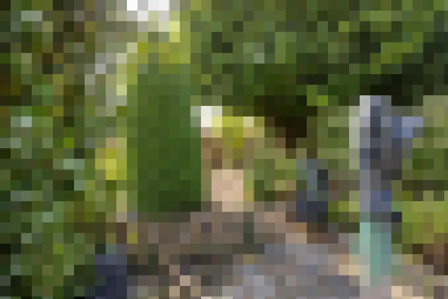 Muchteweg 4 Losser thumbnail 30