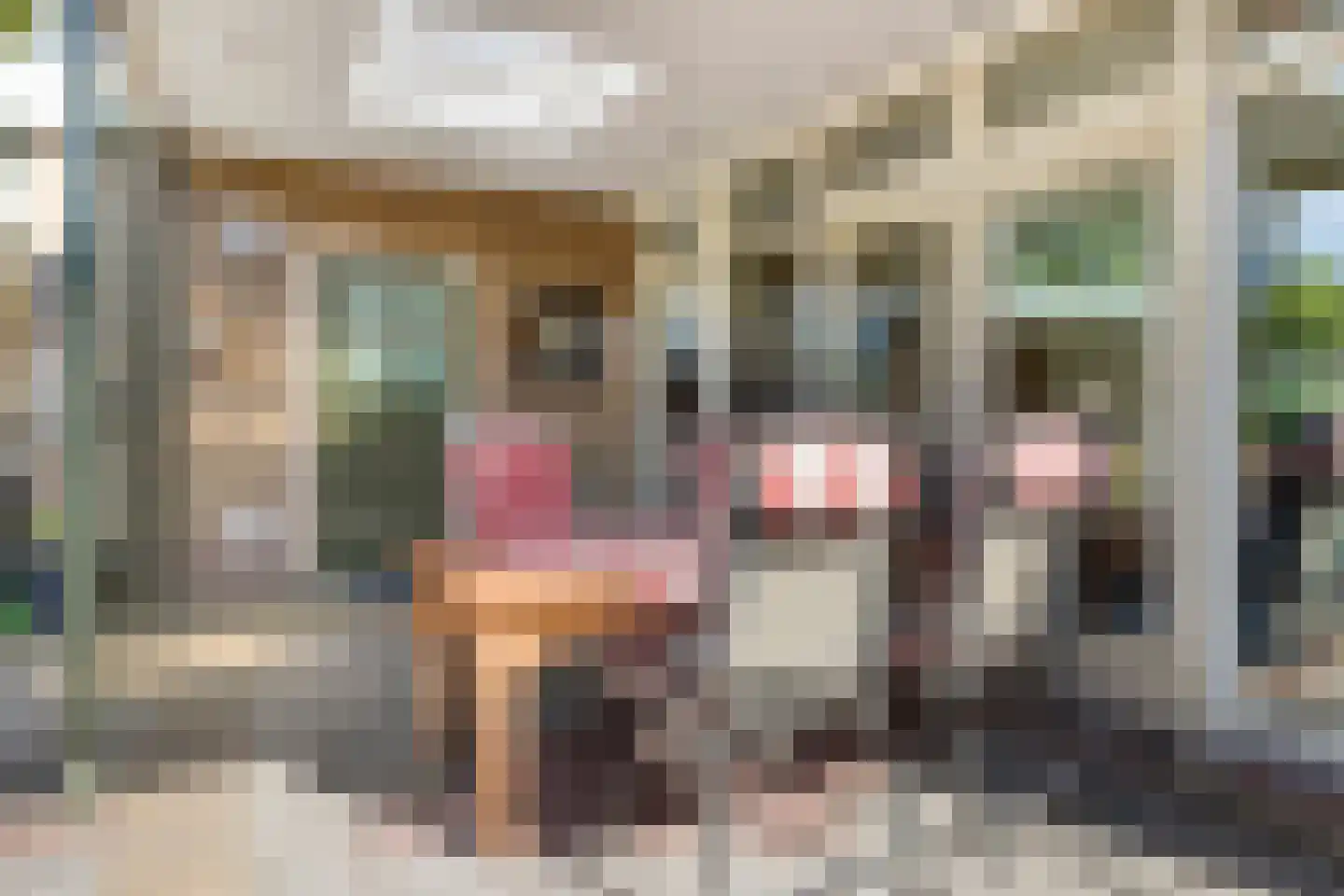 Muchteweg 4 Losser thumbnail 32