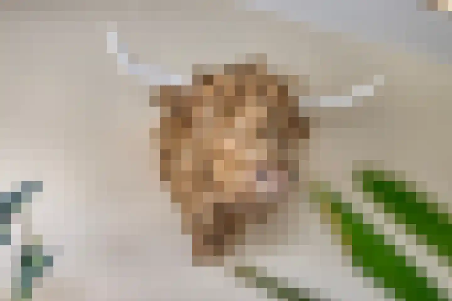 Muchteweg 5 Losser thumbnail 19
