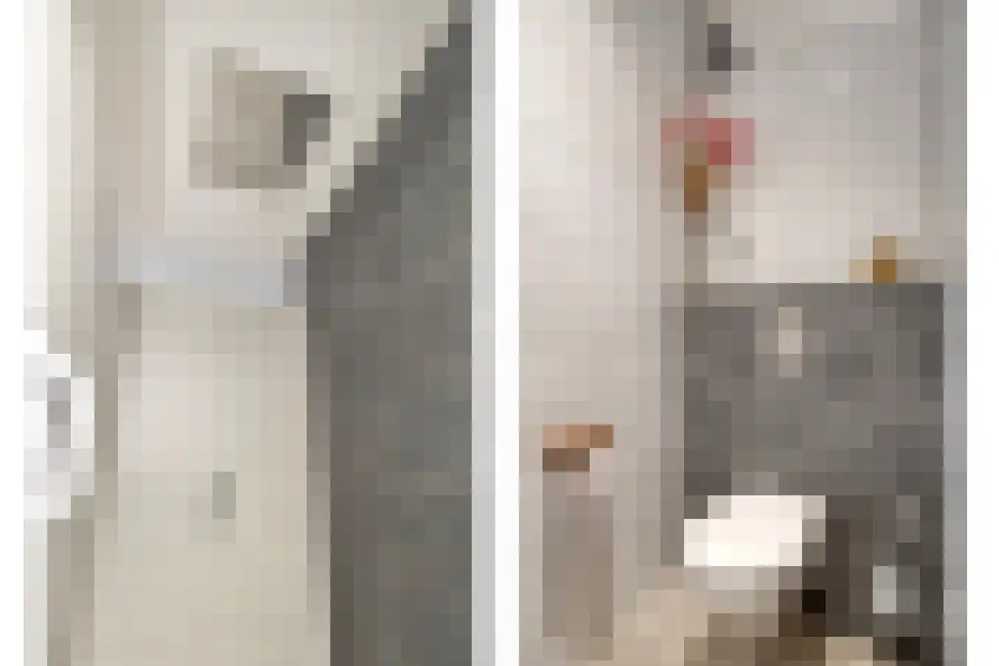 Muchteweg 5 Losser thumbnail 37
