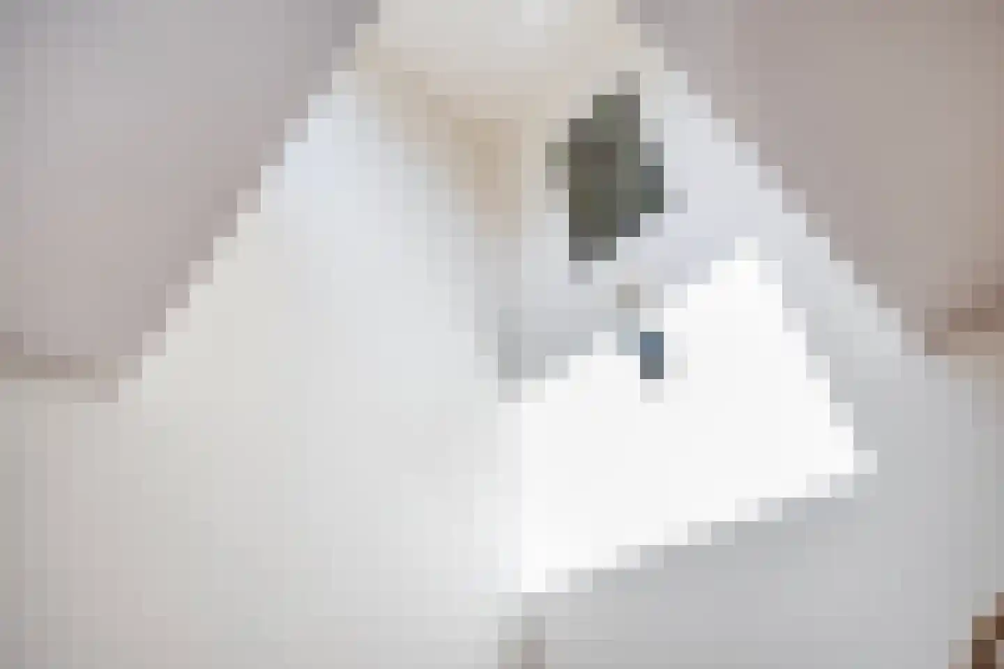 Muchteweg 5 Losser thumbnail 45