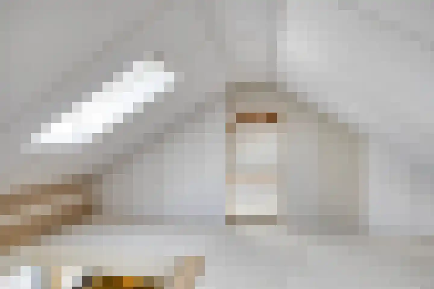 Muchteweg 5 Losser thumbnail 47