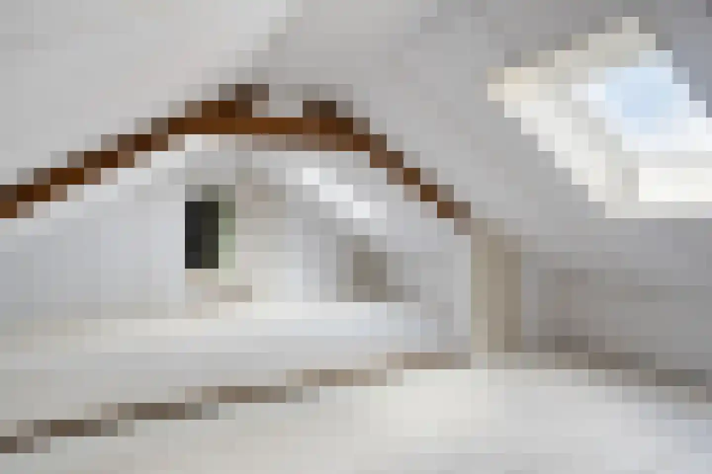 Muchteweg 5 Losser thumbnail 49