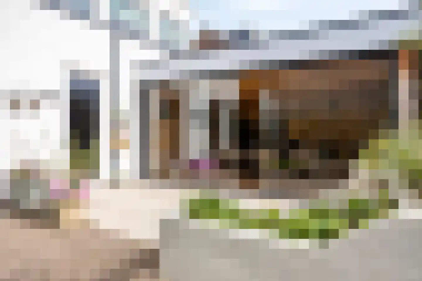 Muchteweg 5 Losser thumbnail 53