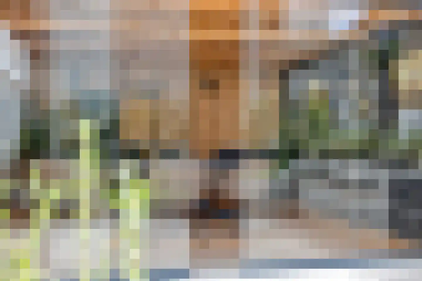 Muchteweg 5 Losser thumbnail 54