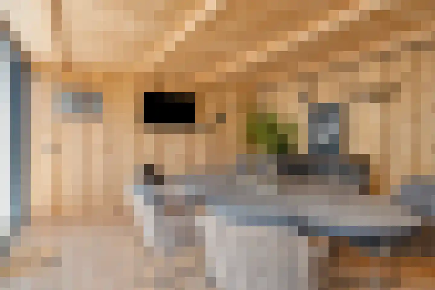 Muchteweg 5 Losser thumbnail 55