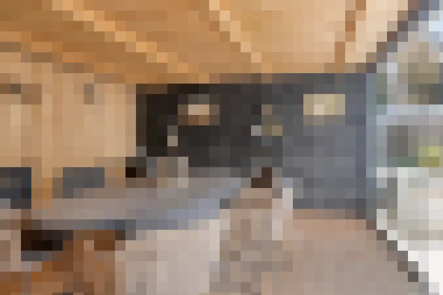Muchteweg 5 Losser thumbnail 56