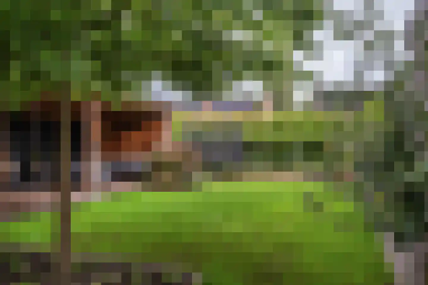 Muchteweg 9 Losser thumbnail 4