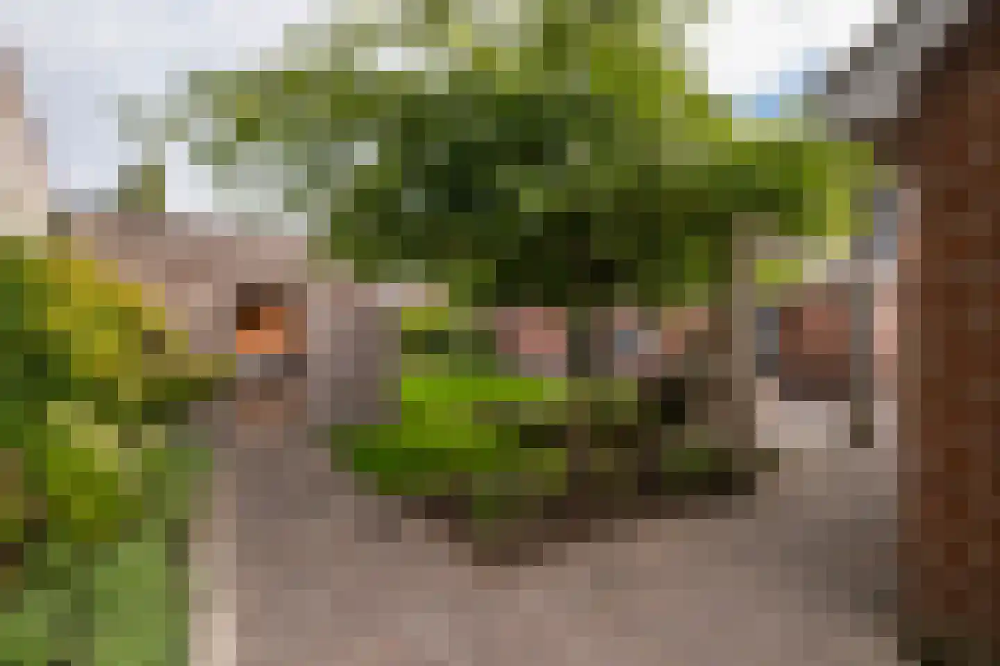 Muchteweg 9 Losser thumbnail 47