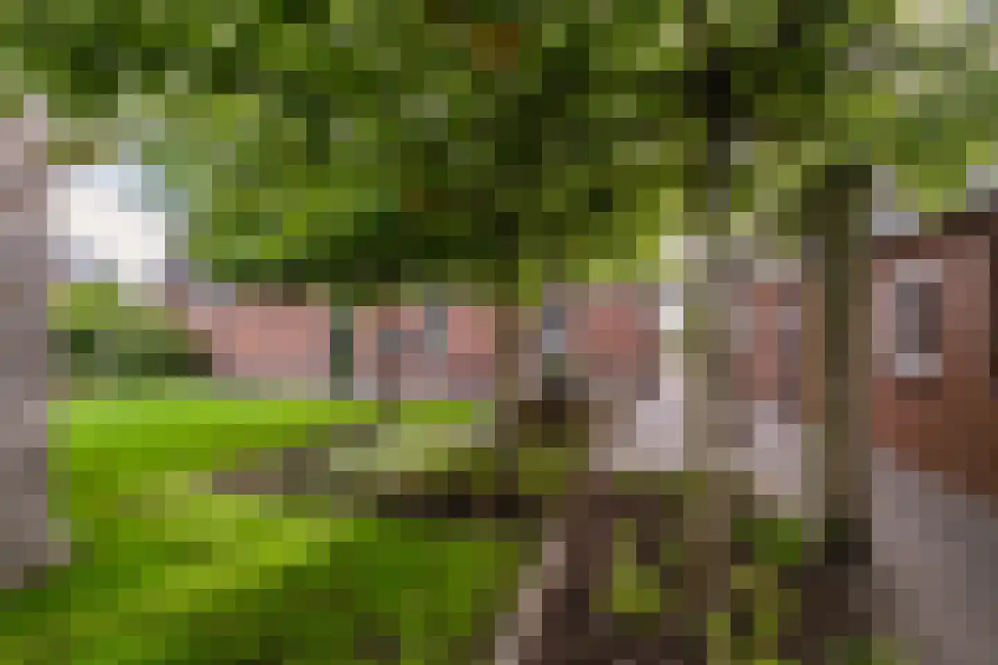 Muchteweg 9 Losser thumbnail 48