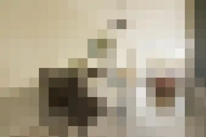 Mudaheerd 115 Groningen thumbnail 11
