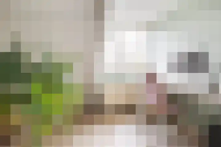 Mudaheerd 115 Groningen thumbnail 23