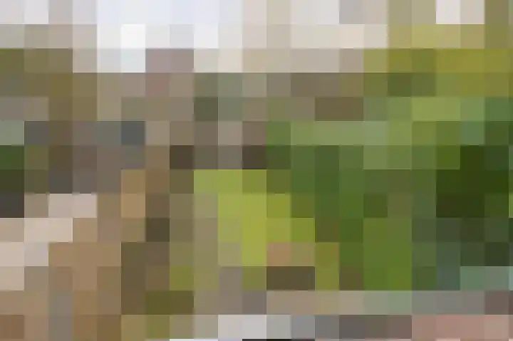 Mudaheerd 115 Groningen thumbnail 32
